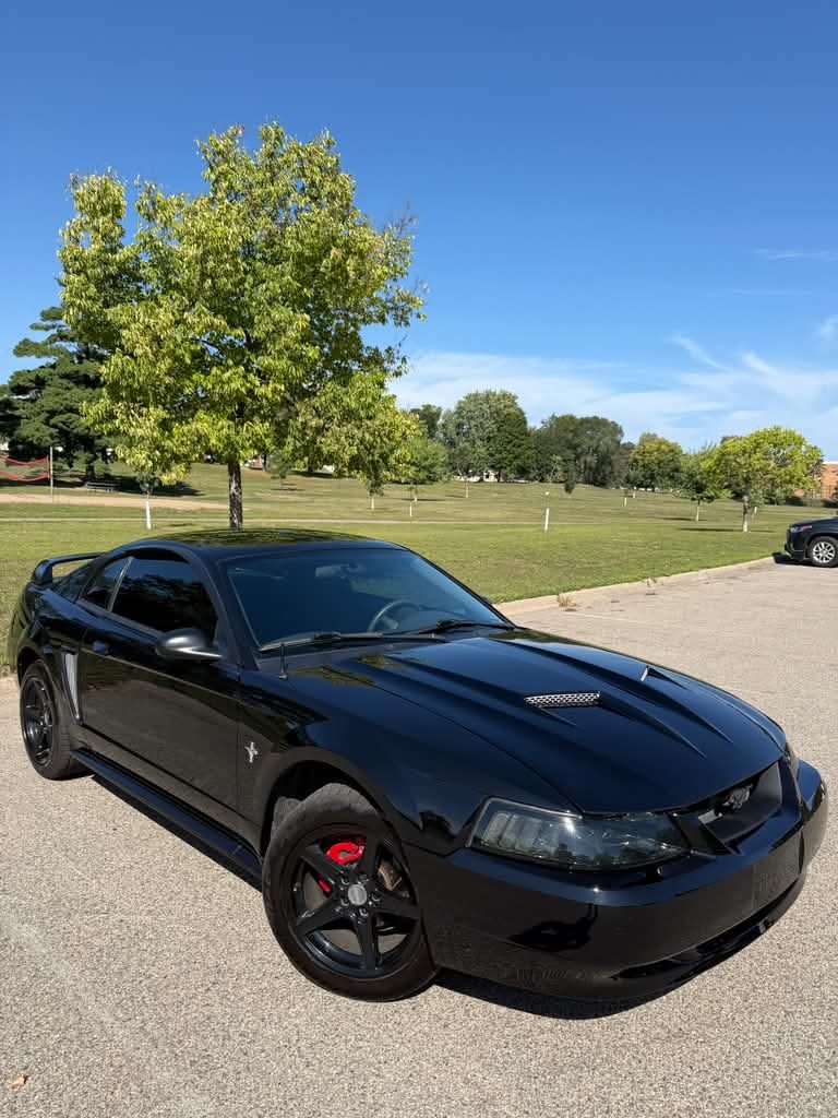 2003 Ford Mustang Standard - Photo 9
